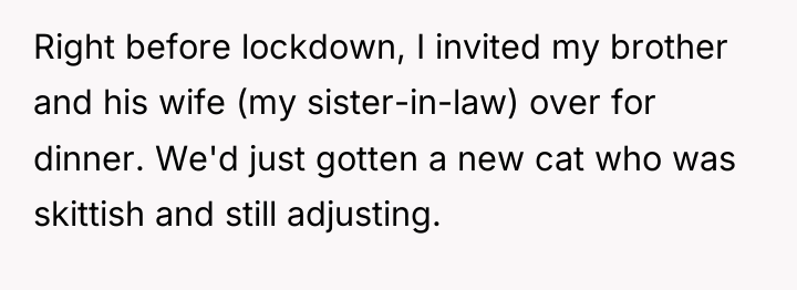 Right before lockdown, I invited my brother and his wife...