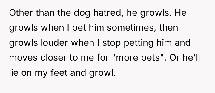 Other than the dog hatred, he growls. He growls when...