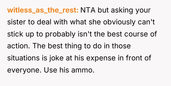 witless_as_the_rest NTA but asking your sister to deal with what...
