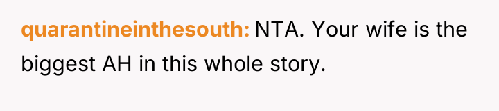 quarantineinthesouth NTA. Your wife is the biggest AH in this...
