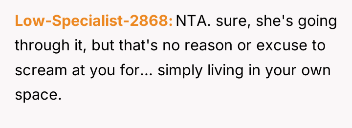 Low-Specialist-2868 NTA. sure, she's going through it, but that's no...