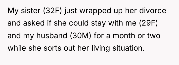 My sister (32F) just wrapped up her divorce and asked...