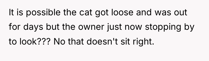 It is possible the cat got loose and was out...