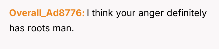 Overall_Ad8776 I think your anger definitely has roots man.