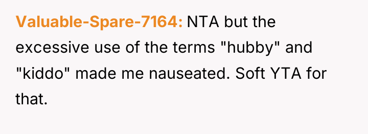 Valuable-Spare-7164 NTA but the excessive use of the terms "hubby"...