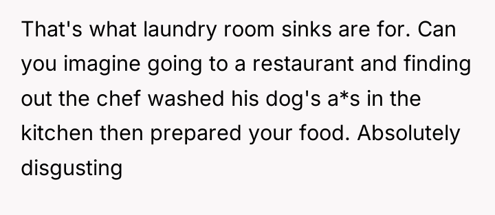 That's what laundry room sinks are for. Can you imagine...