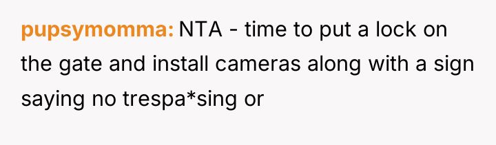 pupsymomma NTA - time to put a lock on the...
