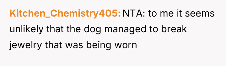 Kitchen_Chemistry405 NTA: to me it seems unlikely that the dog...
