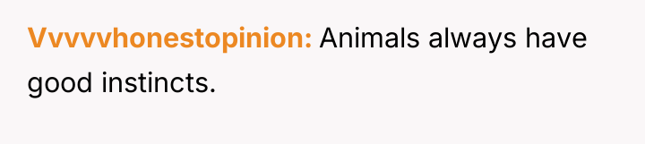 Vvvvvhonestopinion Animals always have good instincts.