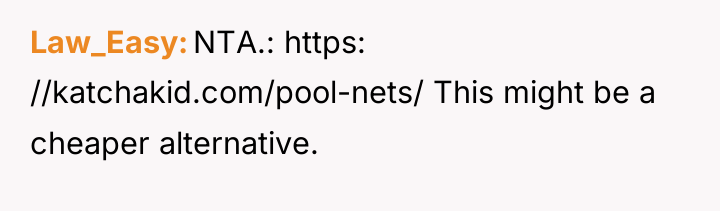 Law_Easy NTA.: https: //katchakid.com/pool-nets/ This might be a cheaper alternative.