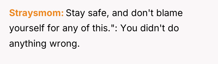 Straysmom Stay safe, and don't blame yourself for any of...