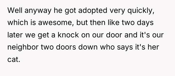 Well anyway he got adopted very quickly, which is awesome,...