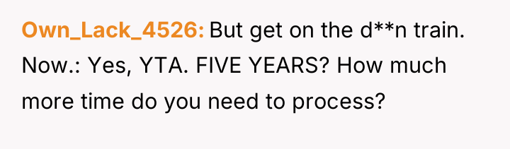 Own_Lack_4526 But get on the d**n train. Now.: Yes, YTA....