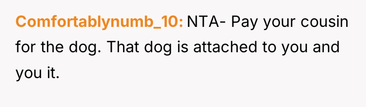 Comfortablynumb_10 NTA- Pay your cousin for the dog. That dog...