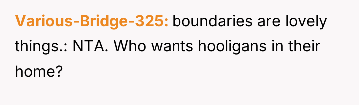 Various-Bridge-325 boundaries are lovely things.: NTA. Who wants hooligans in...