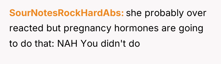 SourNotesRockHardAbs she probably over reacted but pregnancy hormones are going...