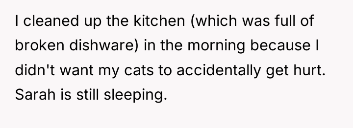 I cleaned up the kitchen (which was full of broken...