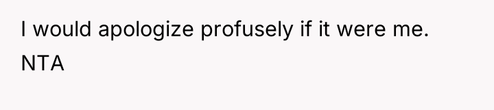I would apologize profusely if it were me. NTA