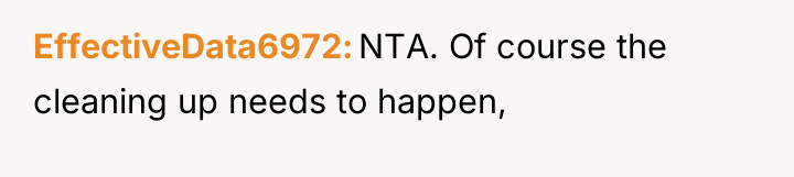 EffectiveData6972 NTA. Of course the cleaning up needs to happen,