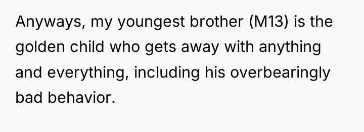 Anyways, my youngest brother (M13) is the golden child who...