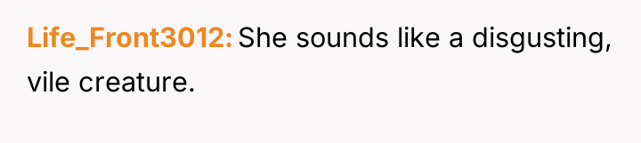 Life_Front3012 She sounds like a disgusting, vile creature.