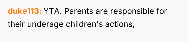 duke113 YTA. Parents are responsible for their underage children's actions,