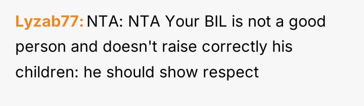 Lyzab77 NTA: NTA Your BIL is not a good person...