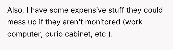 Also, I have some expensive stuff they could mess up...