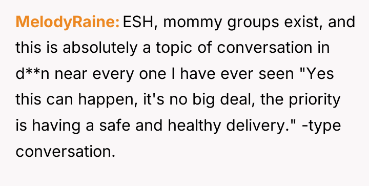 MelodyRaine ESH, mommy groups exist, and this is absolutely a...