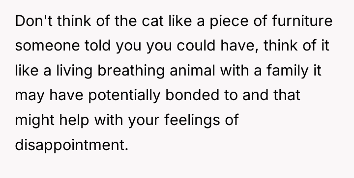 Don't think of the cat like a piece of furniture...
