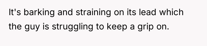 It's barking and straining on its lead which the guy...