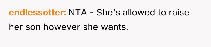 endlessotter NTA - She's allowed to raise her son however...