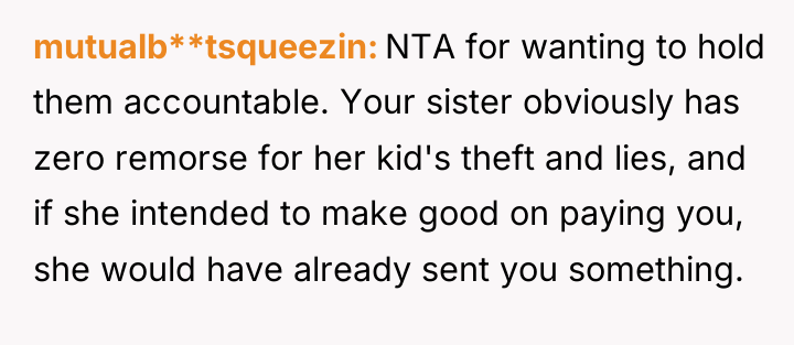 mutualb**tsqueezin NTA for wanting to hold them accountable. Your sister...
