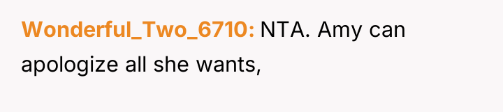 Wonderful_Two_6710 NTA. Amy can apologize all she wants,