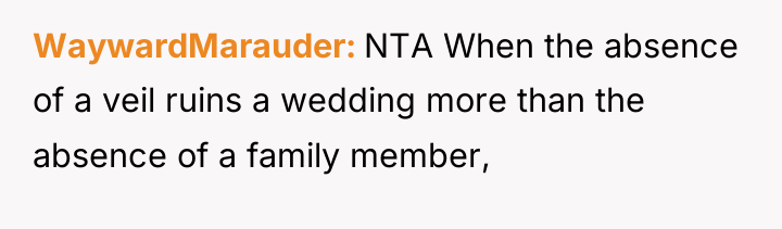 WaywardMarauder NTA When the absence of a veil ruins a...