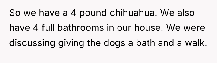 So we have a 4 pound chihuahua. We also have...