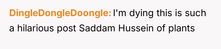 DingleDongleDoongle I'm dying this is such a hilarious post Saddam...