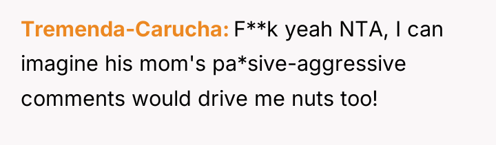 Tremenda-Carucha F**k yeah NTA, I can imagine his mom's pa*sive-aggressive...