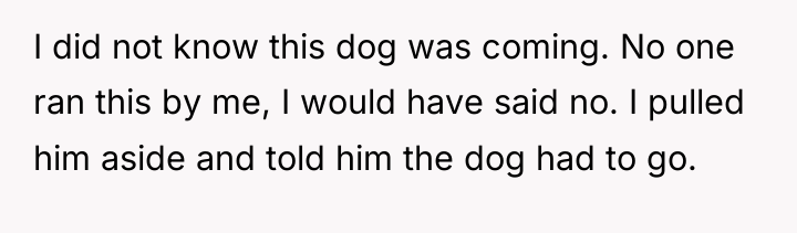 I did not know this dog was coming. No one...