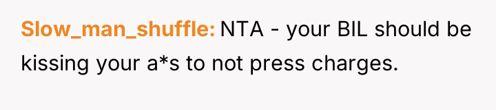 Slow_man_shuffle NTA - your BIL should be kissing your a*s...
