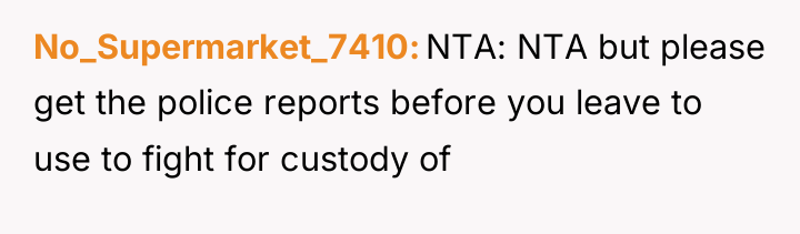 No_Supermarket_7410 NTA: NTA but please get the police reports before...