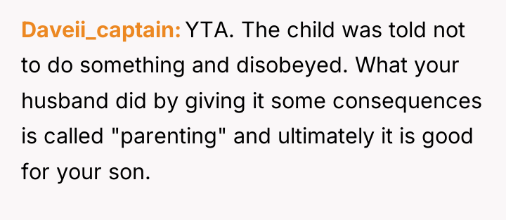 Daveii_captain YTA. The child was told not to do something...