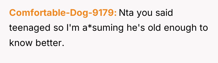 Comfortable-Dog-9179 Nta you said teenaged so I'm a*suming he's old...