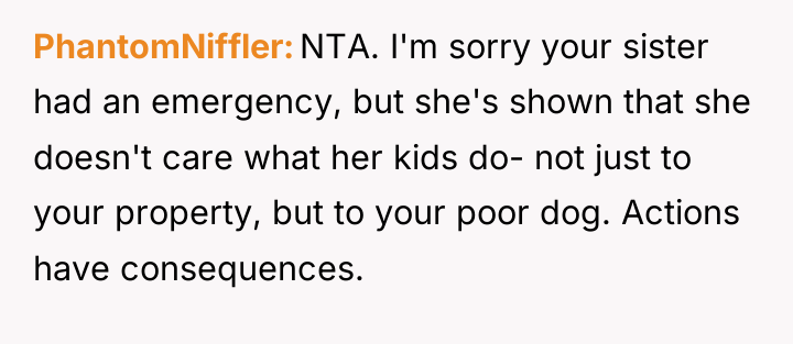 PhantomNiffler NTA. I'm sorry your sister had an emergency, but...