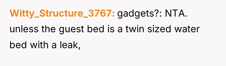 Witty_Structure_3767 gadgets?: NTA. unless the guest bed is a twin...
