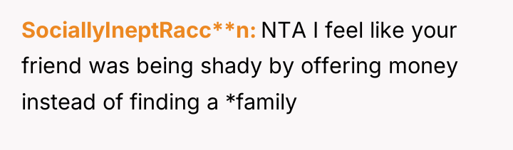 SociallyIneptRacc**n NTA I feel like your friend was being shady...