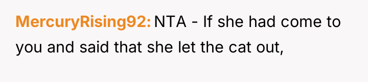 MercuryRising92 NTA - If she had come to you and...