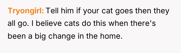 Tryongirl Tell him if your cat goes then they all...