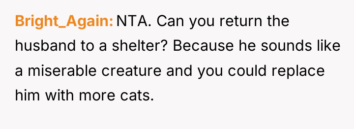 Bright_Again NTA. Can you return the husband to a shelter?...