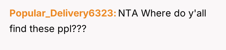 Popular_Delivery6323 NTA Where do y'all find these ppl???
